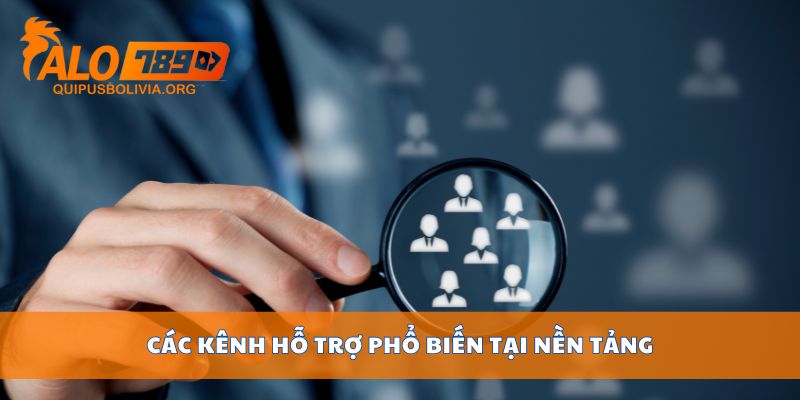 Các kênh hỗ trợ phổ biến tại nền tảng