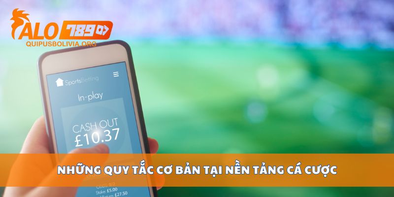 Những quy tắc cơ bản tại nền tảng cá cược