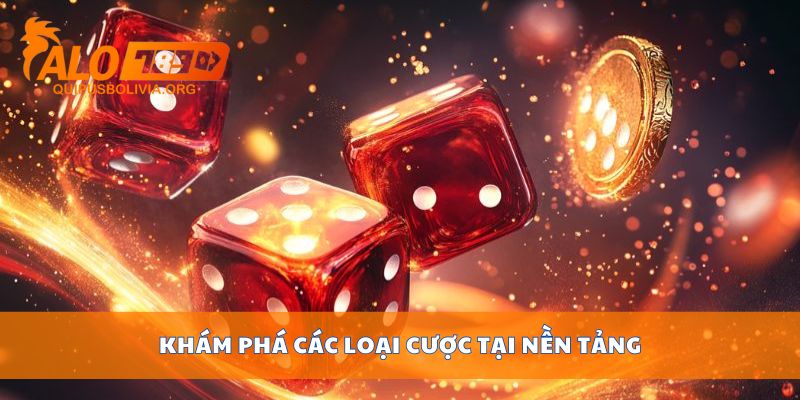 Khám phá các loại cược tại nền tảng