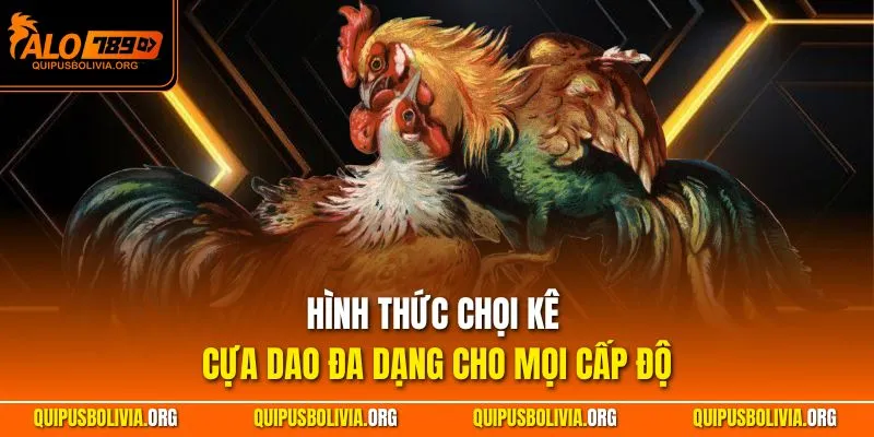 Hình thức đá gà cựa dao đa dạng cho mọi cấp độ
