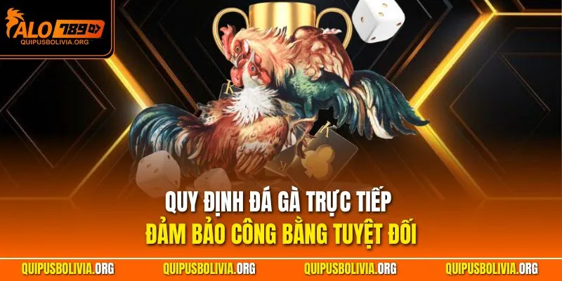 Quy định đá gà trực tiếp đảm bảo công bằng tuyệt đối